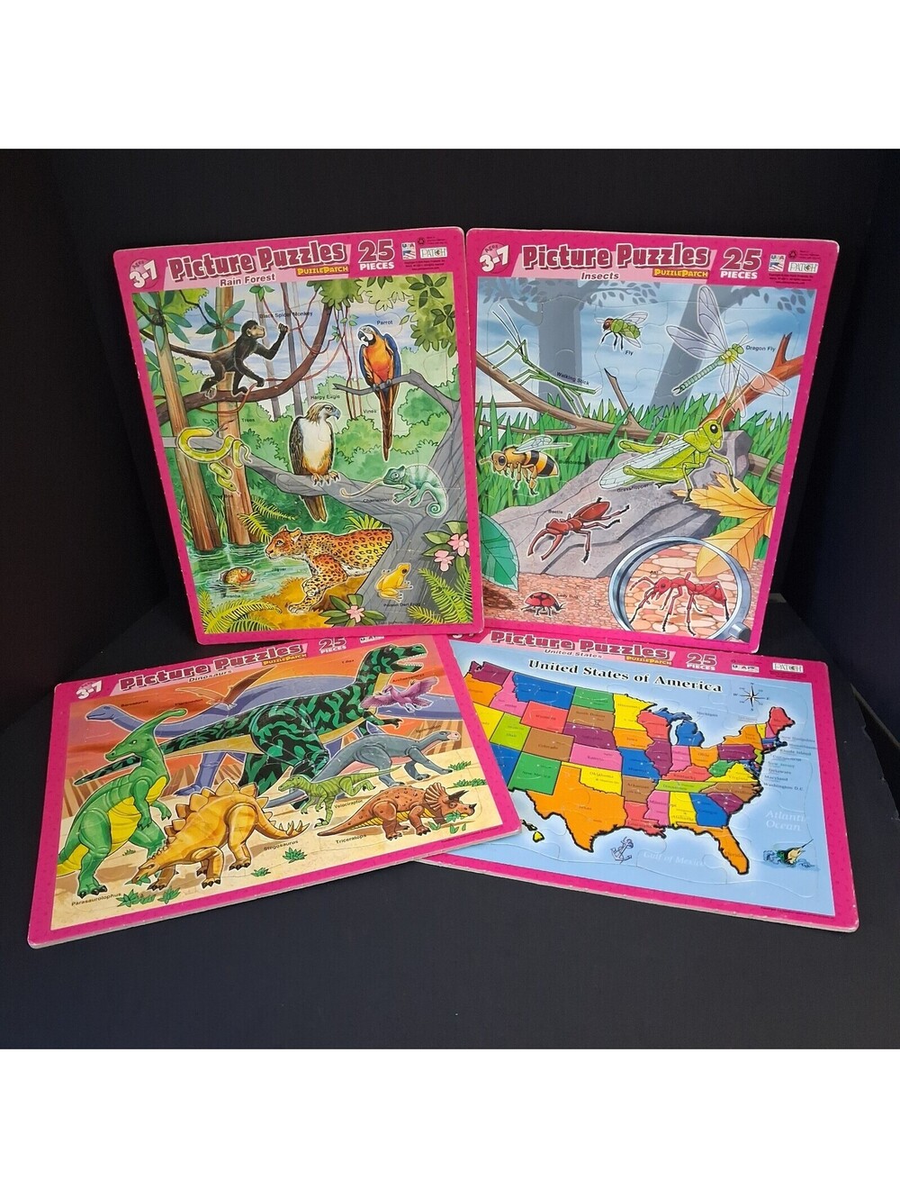 Lot of 4 Vintage 25pc Floor Puzzles, Dinosaurs - USA Map - Insects - Rainforest
